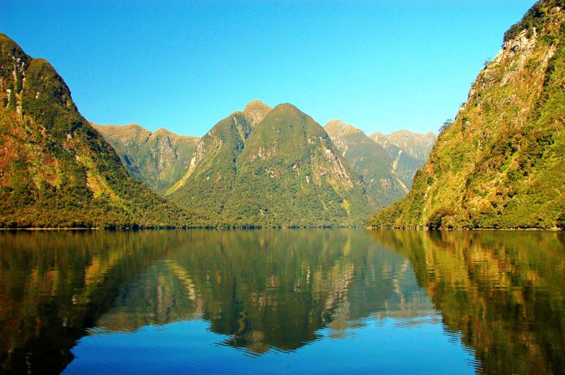 Excursii optionale Parcul National Fiordland