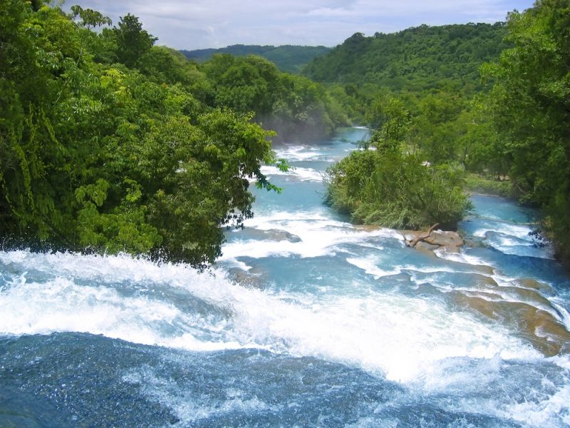 Excursii optionale Puerto Chiapas