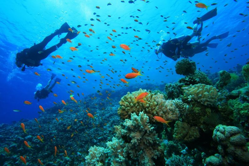 Excursii Optionale Roatan