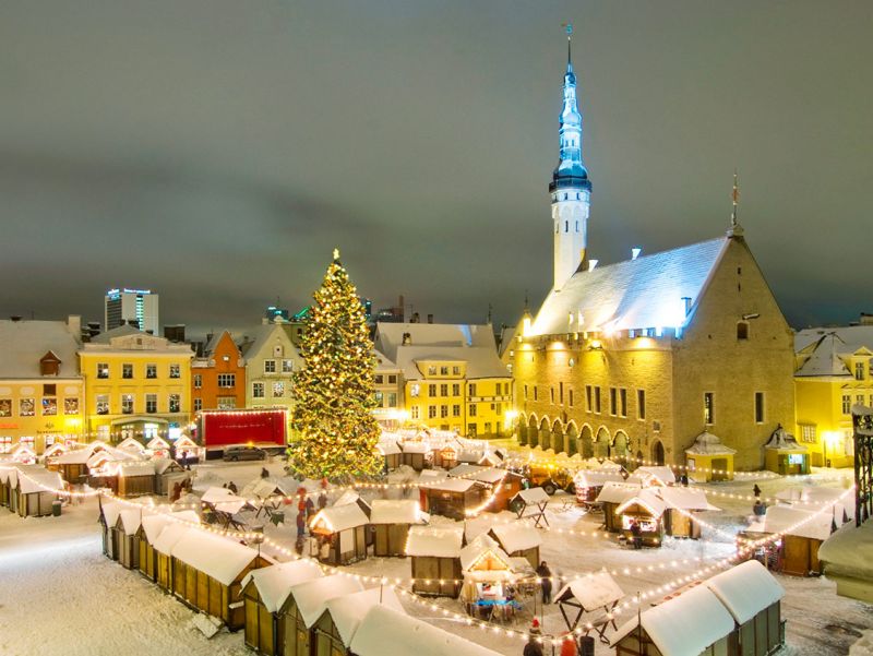 Excursii optionale Tallinn