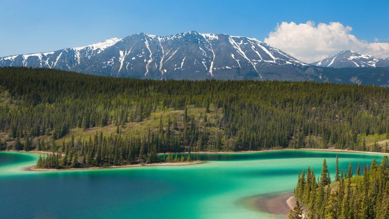 Excursii optionale Skagway