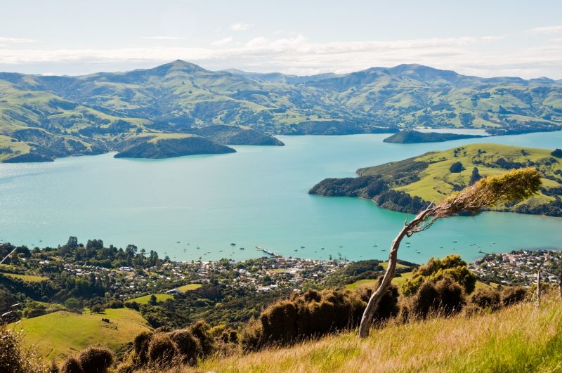 Excursii optionale Akaroa