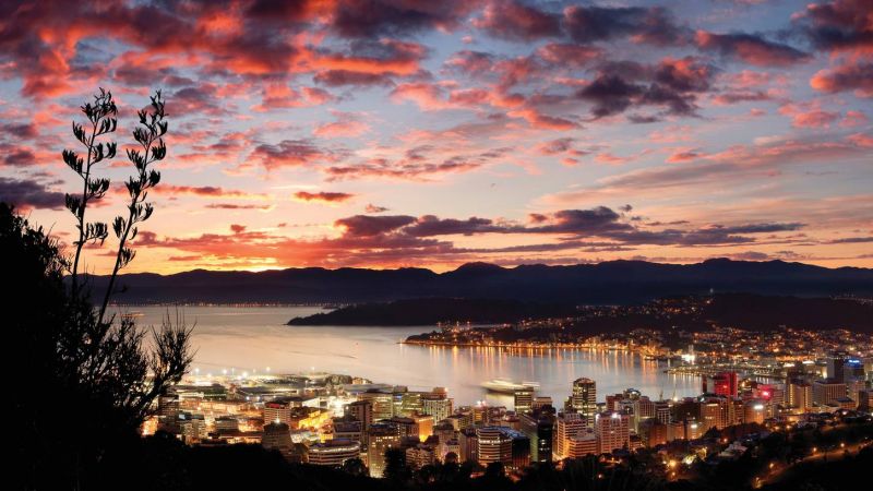 Excursii optionale Wellington