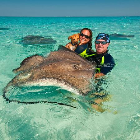 Excursii Optionale Grand Cayman