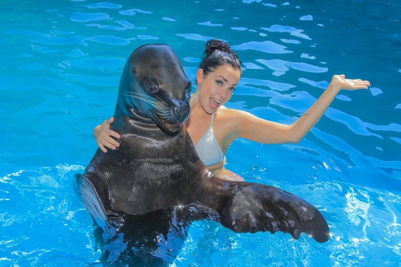 Excursii Optionale Portul Vallarta