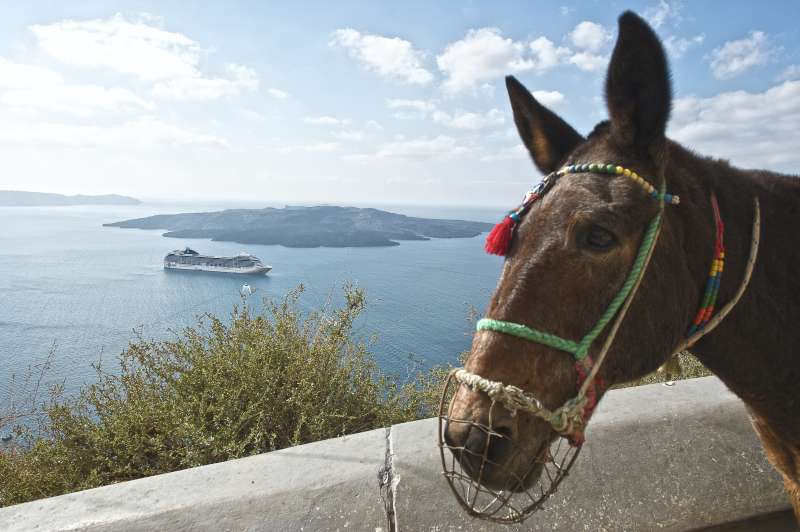 Croaziera 2027 - Repozitionari si Transoceanic (Tarragona, Spania) - MSC Cruises - MSC Musica - 7 nopti