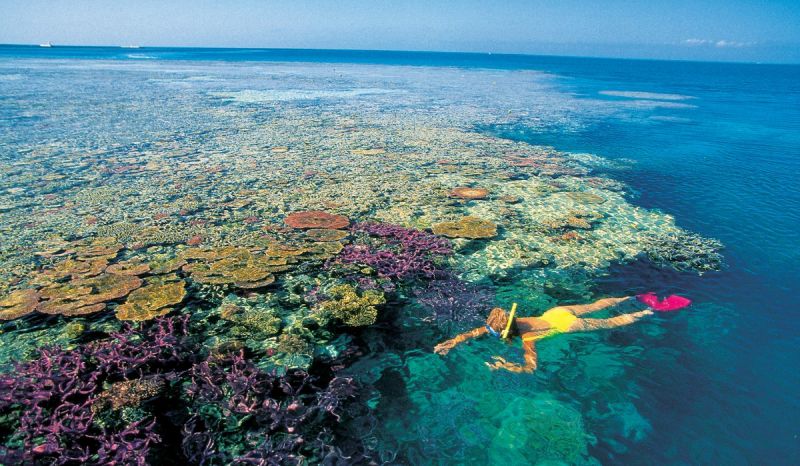 Excursii optionale Airlie Beach