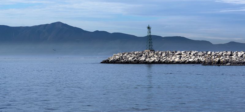 Excursii Optionale Ensenada