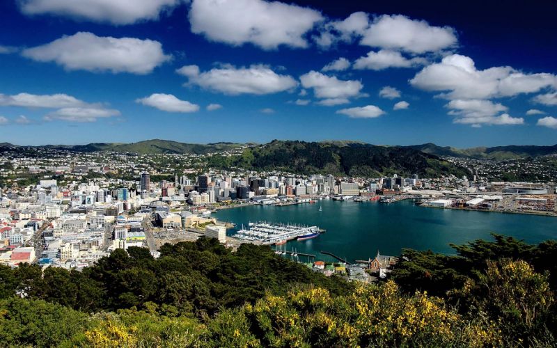 Excursii Optionale Wellington