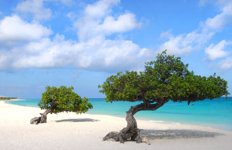 Excursii optionale Aruba