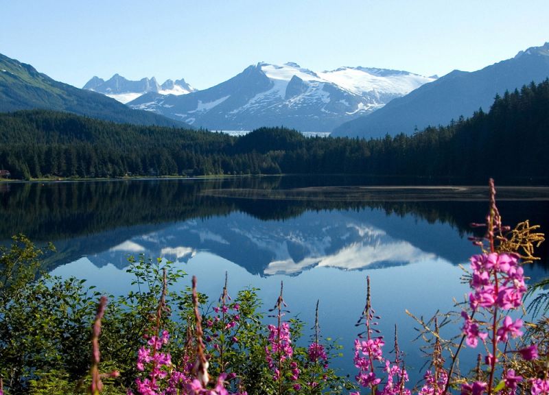 Excursii Optionale Juneau