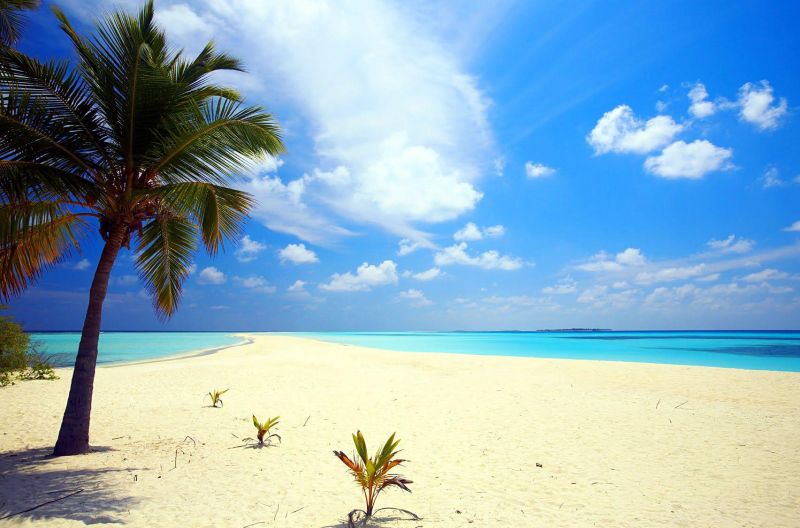 Excursii Optionale George Town