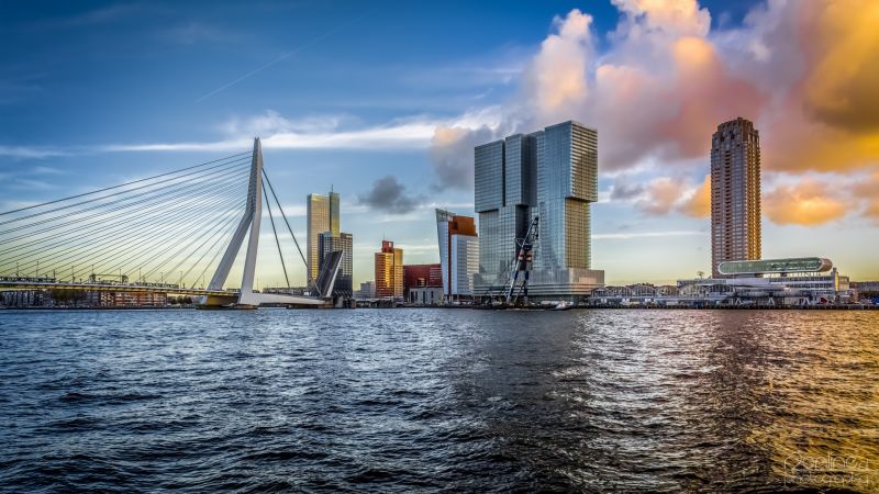 Excursii optionale Rotterdam