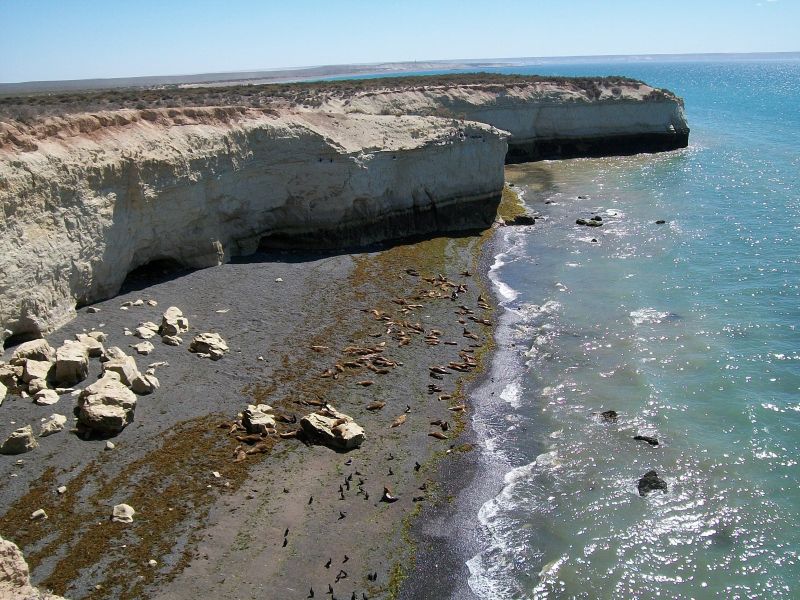 Excursii optionale Puerto Madryn