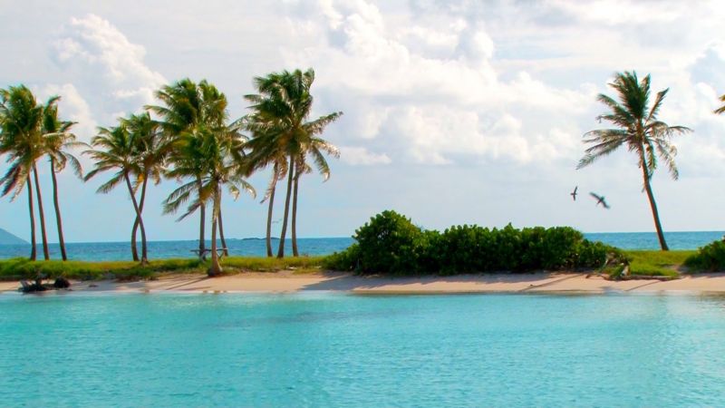 Excursii Optionale Mayreau