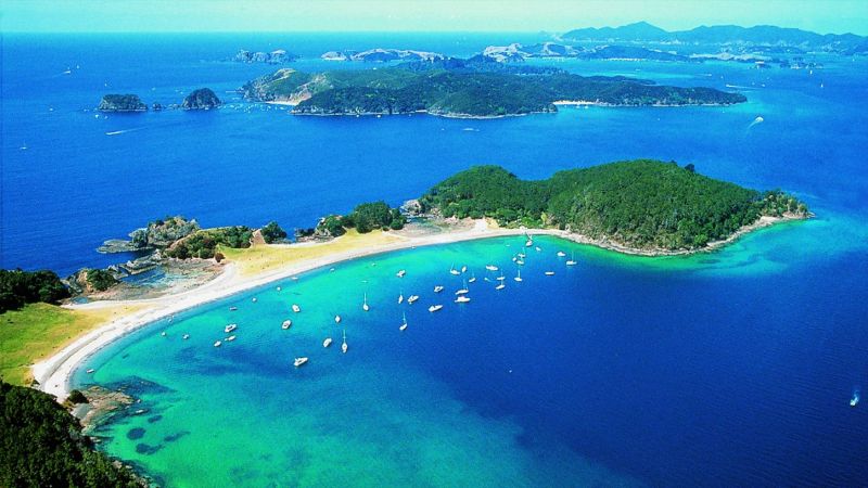 Excursii Optionale Bay of Islands