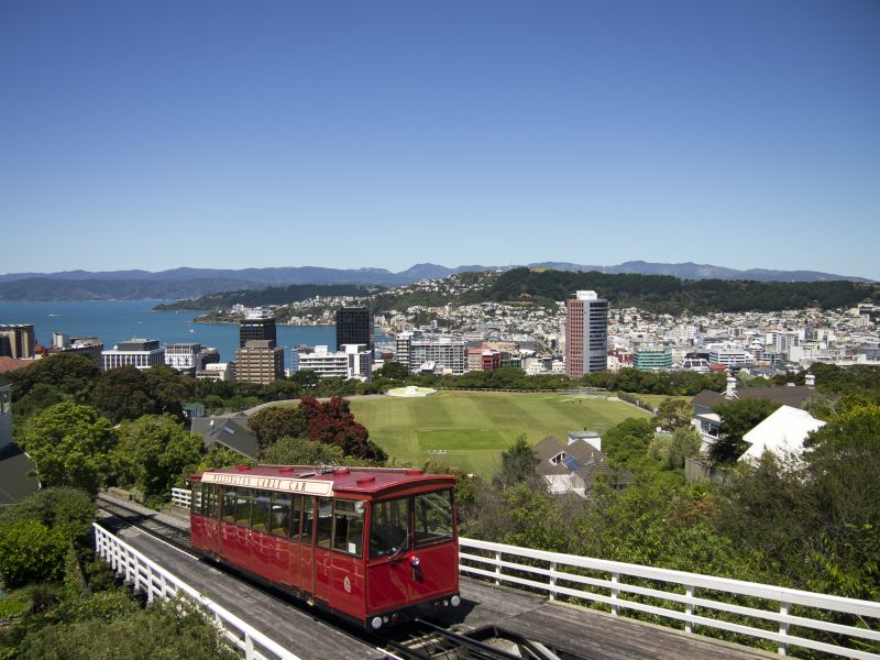 Excursii optionale Wellington