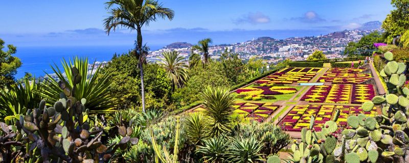 Excursii Optionale Funchal