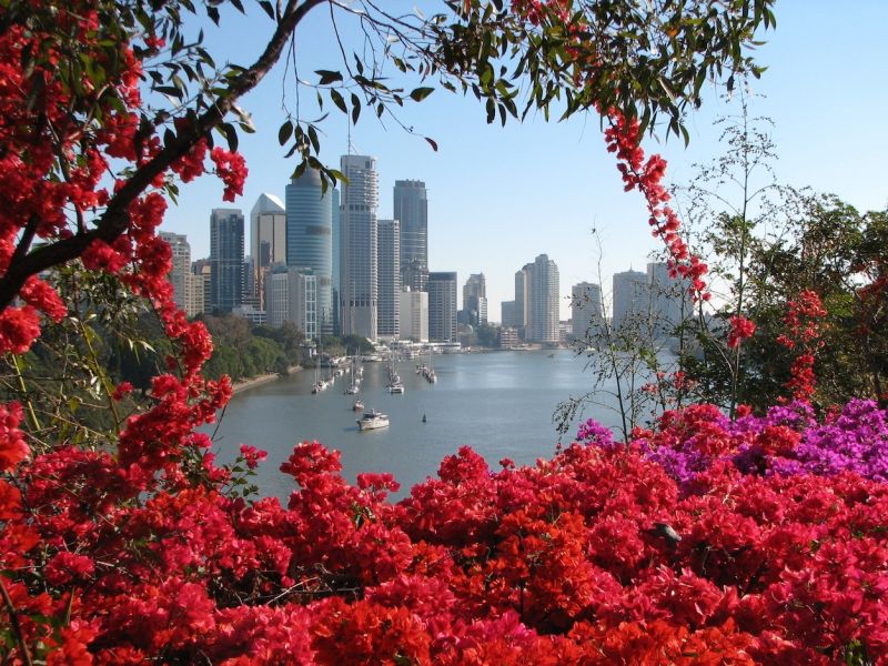 Excursii Optionale Brisbane