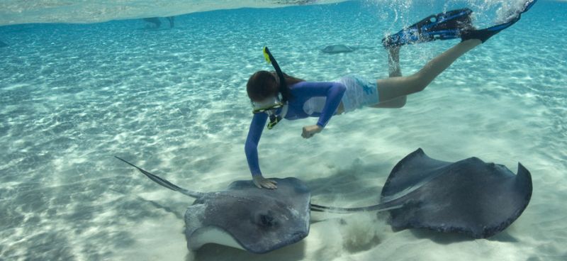 Excursii optionale George Town