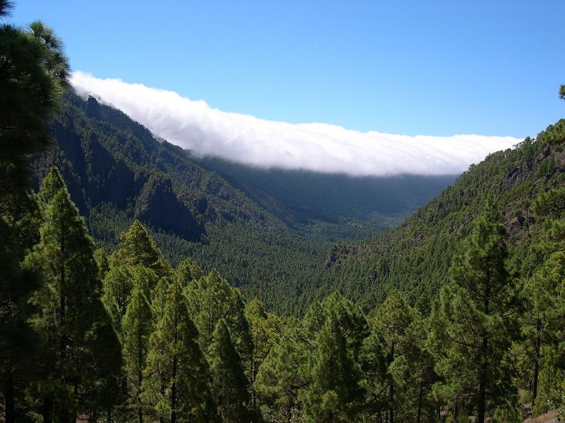 Excursii Optionale La Palma