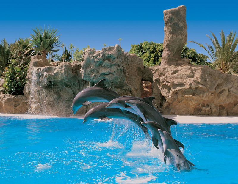 Excursii Optionale Tenerife