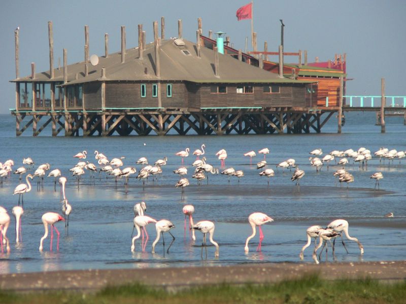 Excursii Optionale Walvis Bay