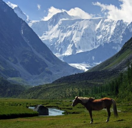 Kazahstan și Kyrgyzstan