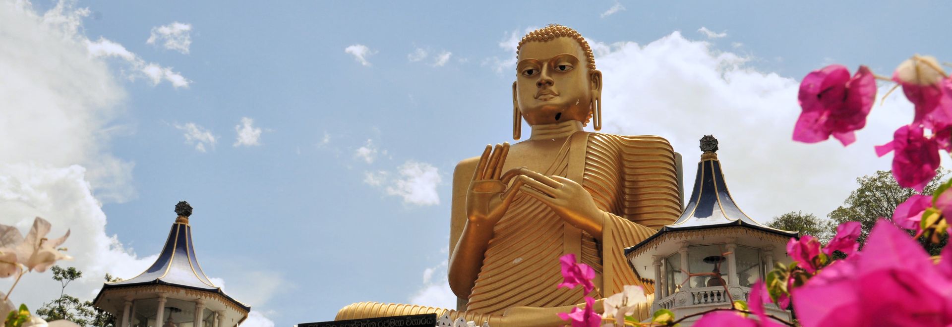 5 motive să vizitezi Sri Lanka, țara ceaiului verde